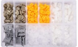 Plastic Push-Type Clip Assortment (300pcs) Renault