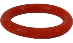 Valymo rankenos WBC-100 galvutės sandarinimo žiedas