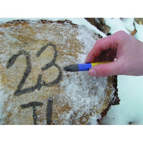 Kreidelė su etikete, grafitinė, pilka Ø12mm, 120mm