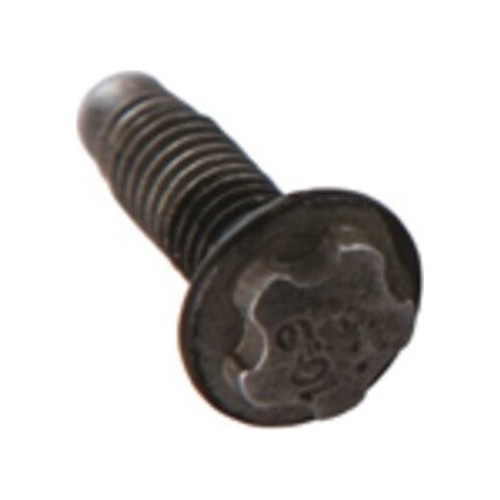 Galvutė  1/4" 10EPR (torx plus), TESLA