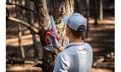 Akumuliatorinis grandininis mini pjūklas su plastikine dėže 20V LI-ION