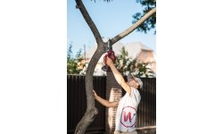 Akumuliatorinis grandininis mini pjūklas su plastikine dėže 20V LI-ION