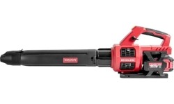 Li-ion Cordless leaf blower 40V (20V+20V)