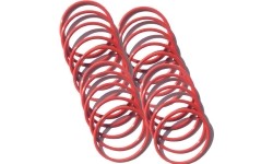 Tarpinė - žiedas O-Ring WB300121 (skirta: T100/MT100) (20vnt.)