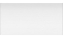 Apsauginis stikliukas skydeliui Sentinel A50 64x100, vidinis