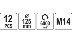 Valymo-poliravimo rinkinys 125mm, M14 12vnt.