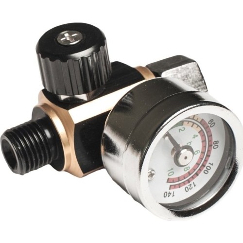 Air regulator with gauge