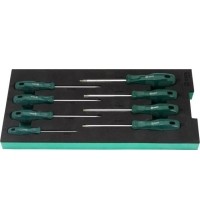 Tray. Screwdriver set 8pcs (torx)