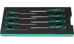 Tray. Screwdriver set 8pcs (torx)
