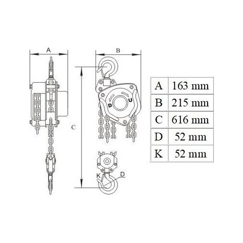 Chain block 5t