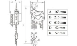 Chain block 5t