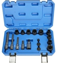 Galvučių ir galvučių su antgaliais rinkinys 17vnt. stabdžių remontui