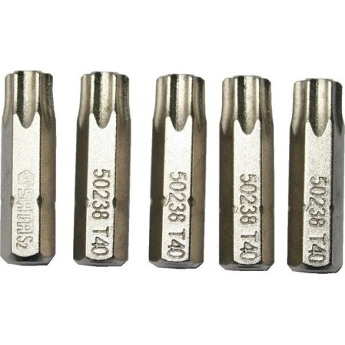 Antgalis TORX  1/4" (6.3mm), 5vnt. - T10 x 25mm