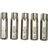 Antgalis TORX  1/4" (6.3mm), 5vnt. - T25 x 25mm
