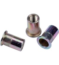 Steel nut rivets 50pcs - M3 - 50 vnt