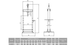 Hydraulic shop press with gauge 20t (foot pump)