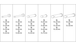 Security bolts with head 60 pcs