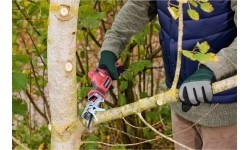 Akumuliatorinis tiesinis pjūklas WORCRAFT 12V LI-ION
