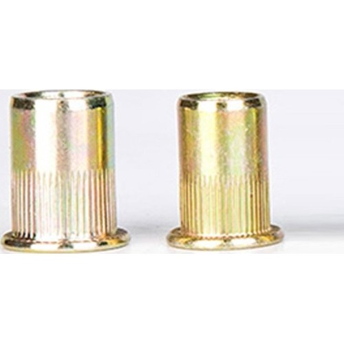 Steel nut rivets 50pcs - M3 - 50 vnt