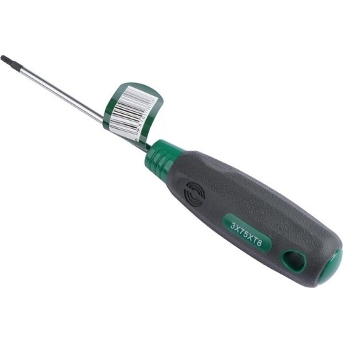 Atsuktuvas TORX - T15 x 150mm