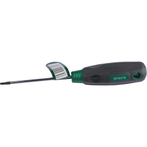 Atsuktuvas TORX - T25 x 150mm