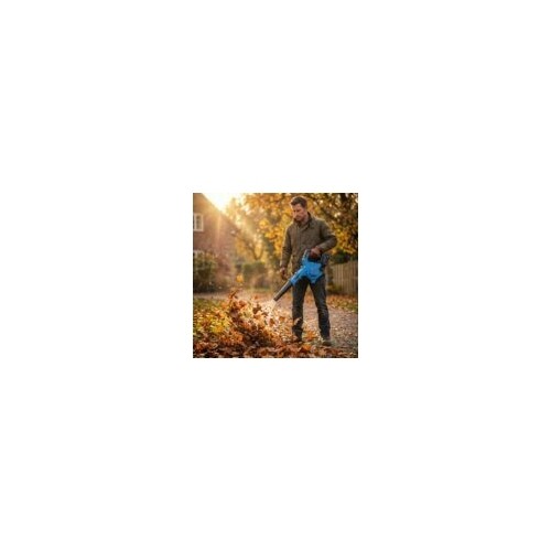 Cordless leaf blower ET-509